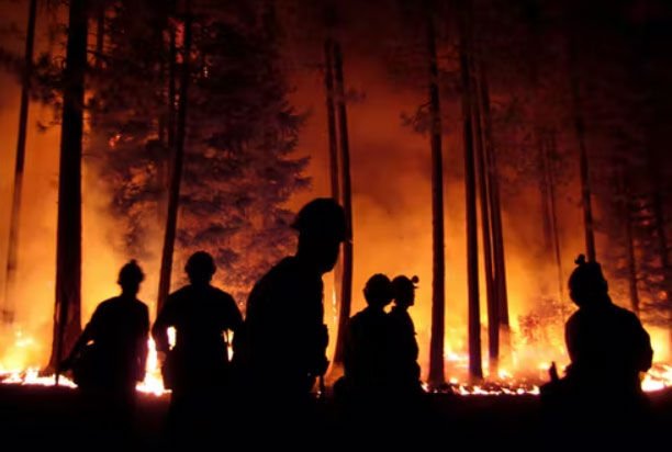 6 Wildfire Terms To Understand, From Red Flag Warning To 100% Containment