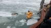 Watch Now: Firefighters Rescue Dog Floating On An Ice Chunk In The Detroit River