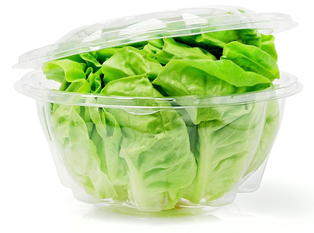 Waste Not, Wilt Not: 6 Tips To Actually Keep Greens Fresh In The Fridge
