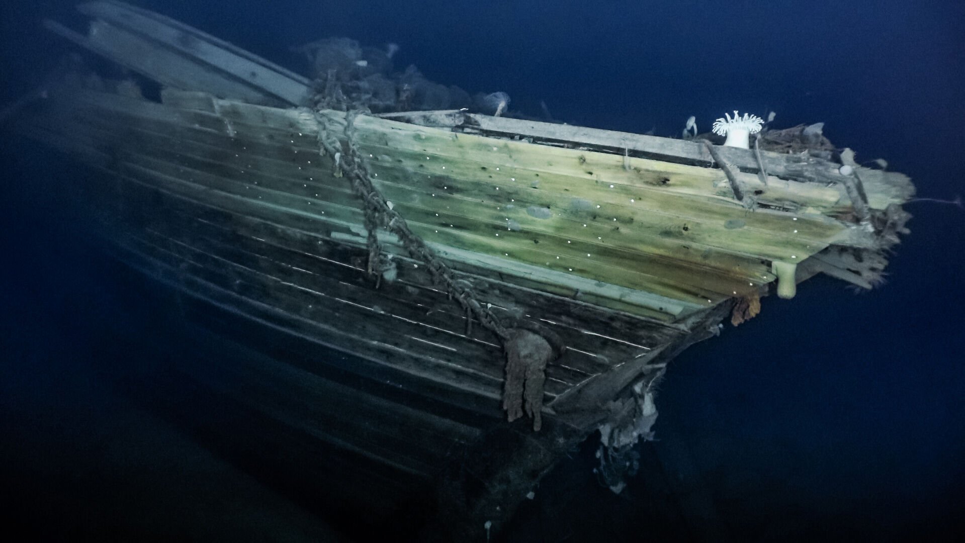 <p>The ship, which sank in 1915, is 3,008 meters (1.9 miles or 9,842 feet) deep in the Weddell Sea, a pocket in the Southern Ocean along the northern coast of Antarctica, south of the Falkland Islands.</p>