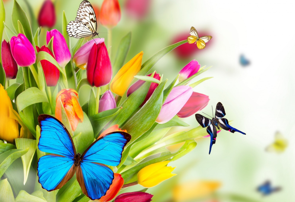 Spring Flowers5