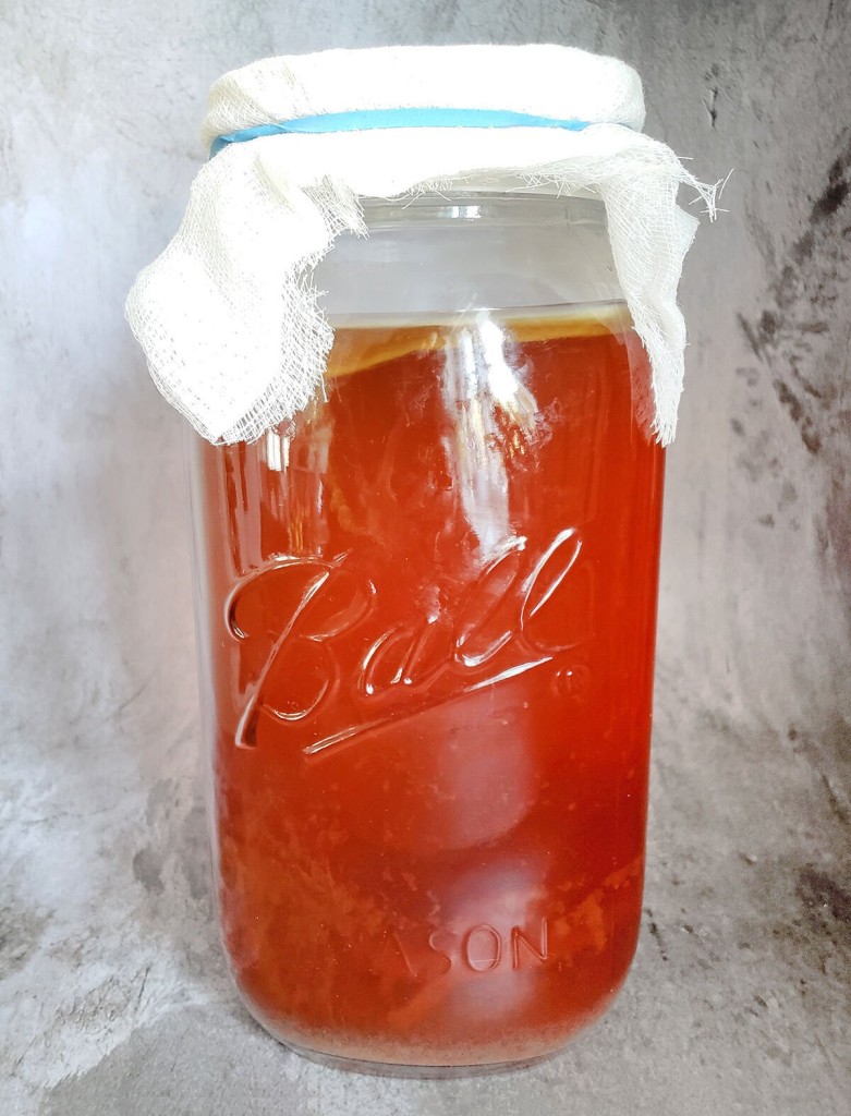 Kombucha Curious? Here’s How To Make It At Home