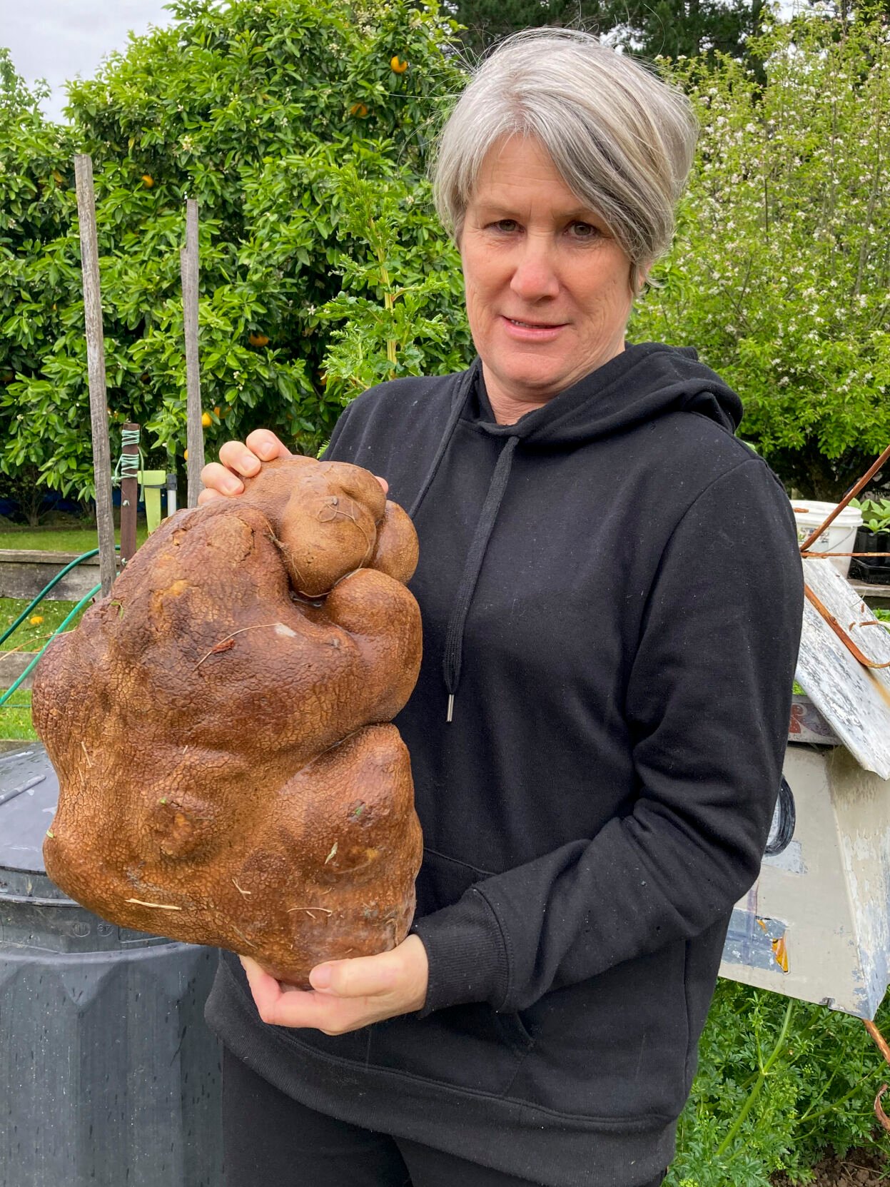 <p>Donna Craig-Brown holds "Doug," which was believed to be the world's largest potato but was shown through scientific testing that it wasn't a potato, but a tuber of a type of gourd.</p>