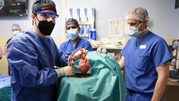 Patient Who Received Genetically Modified Pig Heart In Groundbreaking Transplant Surgery Dies