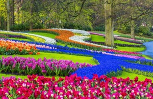 Spring Flowers2