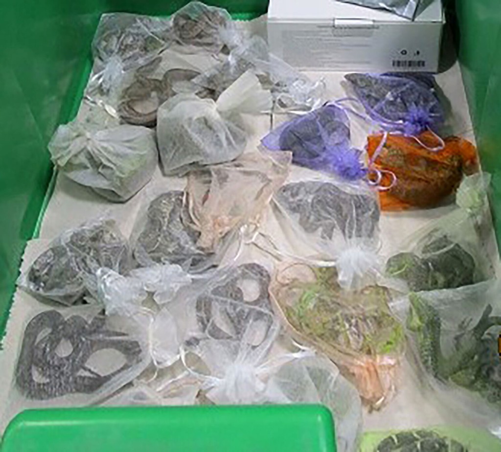 Border Authorities Find 52 Reptiles Hidden In Man’s Clothing