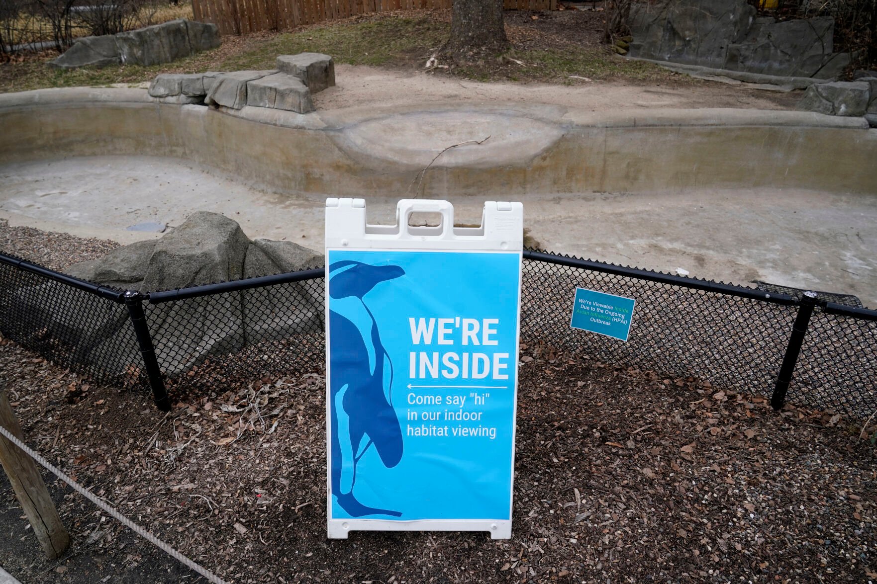 <p>A sign is displayed near a Magellan penguin outdoor viewing area redirecting visitors at the Blank Park Zoo, Tuesday, April 5, 2022, in Des Moines, Iowa. </p>