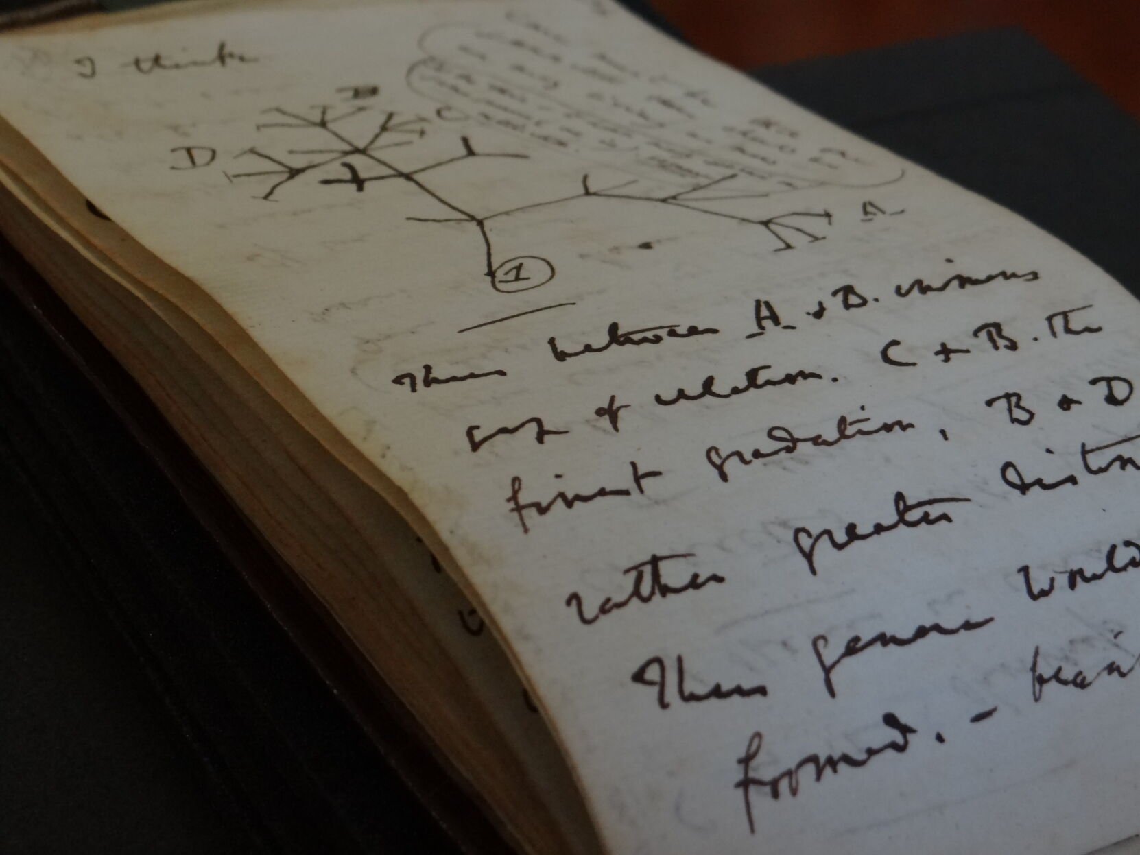 <p>A set of rare notebooks filled with notes by Charles Darwin have been anonymously returned to the University of Cambridge, over 20 years after they were initially reported missing.</p>
