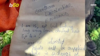 Watch Now: Message In A Bottle Found After Floating In U.k. River For 56 Years