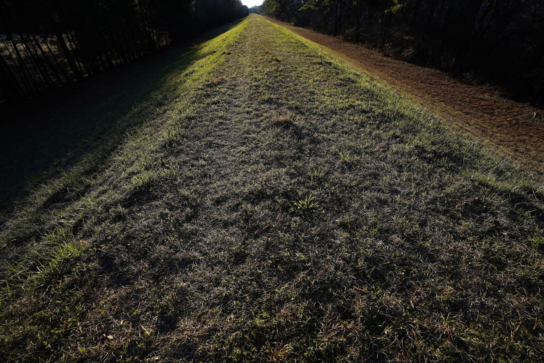 <p>An earthen levee is lit by the setting sun along the Tar River in Princeville, N.C., Monday, Feb. 28, 2022. The town, whose seal proudly declares it “the oldest town chartered by Blacks in America," has flooded many times. </p>