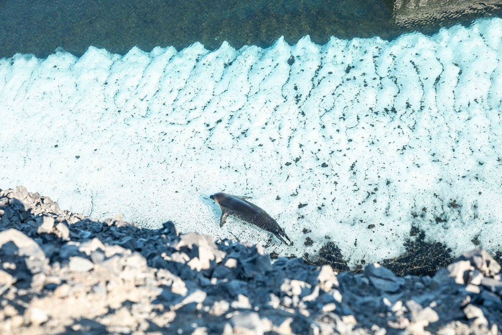 Spotlight Antarctica: How Residents Eat Fresh In The Most Barren Spot On Earth