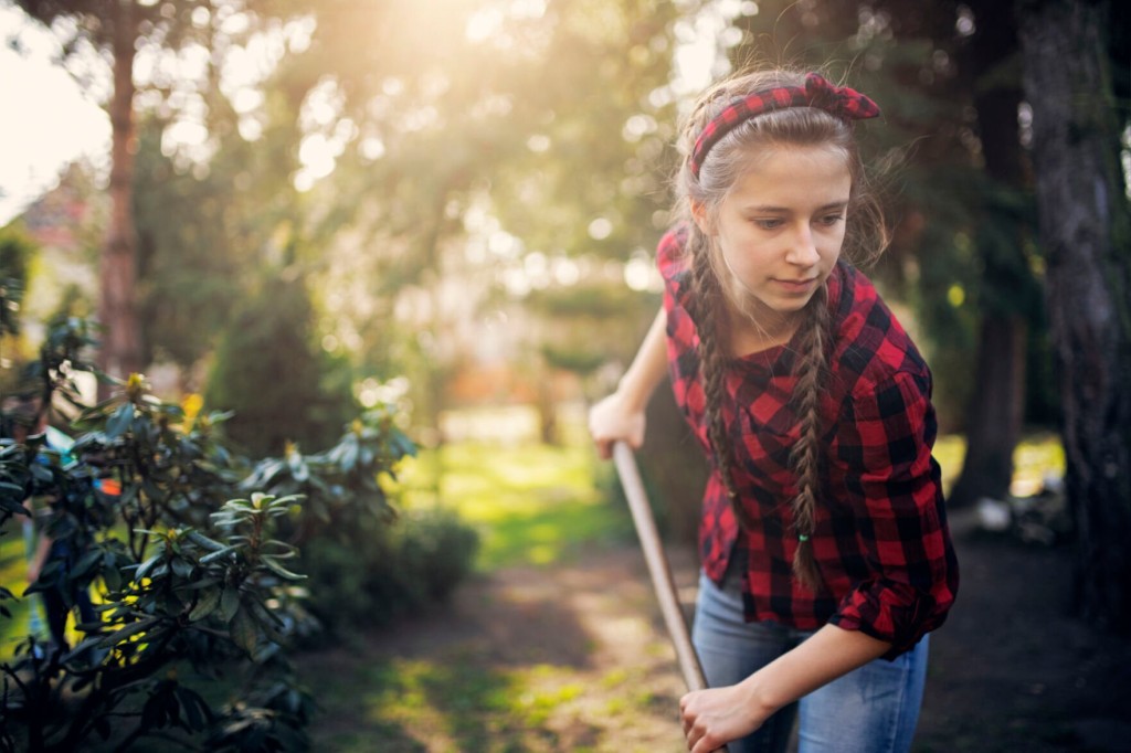 Spruce Up Your Yard This Spring With These Essential Landscape Tools