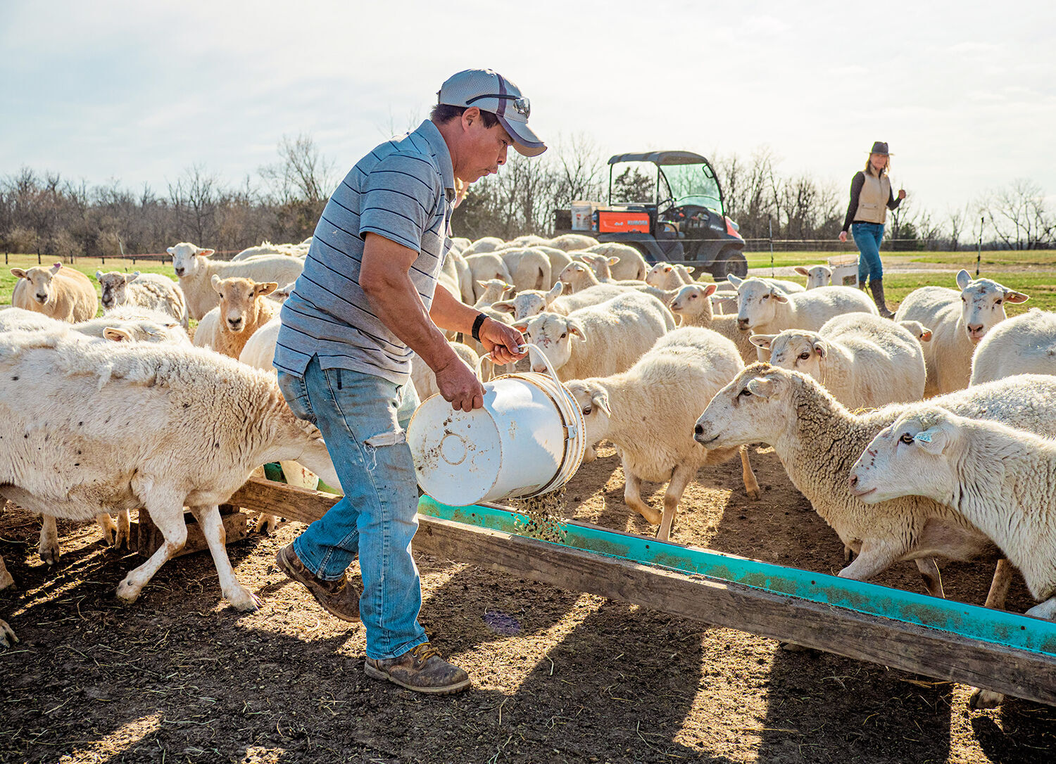 <p><a href="https://feastandfield.net/read/meat-and-seafood/have-ewe-heard-the-news-lamb-is-making-a-comeback/article_8ef6462e-aaf9-11ec-9328-4b589ed40027.html" target="_blank">Freedom Run Farm</a> raises <span>Katahdin sheep, an Appalachian Heritage breed known for meat with <span>excellent marbling and mild flavor</span></span><span><span>. </span></span>Photo by Zach Straw.</p>