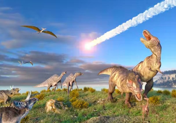 How Did Cockroaches Survive The Asteroid That Led To The Extinction Of Dinosaurs?