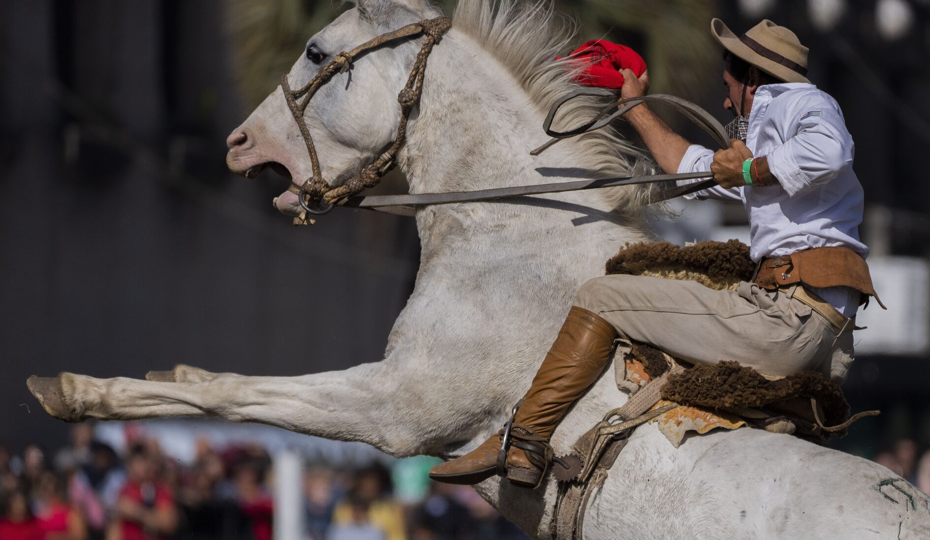 <p>A gaucho rides a horse during the "Criolla Week" rodeo in Montevideo, Uruguay, Thursday, April 14, 2022. Every April since 1925, the Criolla Week Festival is celebrated in Montevideo and gauchos arrive in the city and tame and ride wild horses. (AP Photo/Matilde Campodonico)</p>