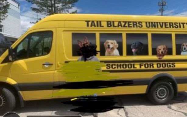 2 Dogs Found Safe After Van Stolen From Massachusetts Pet Day Care