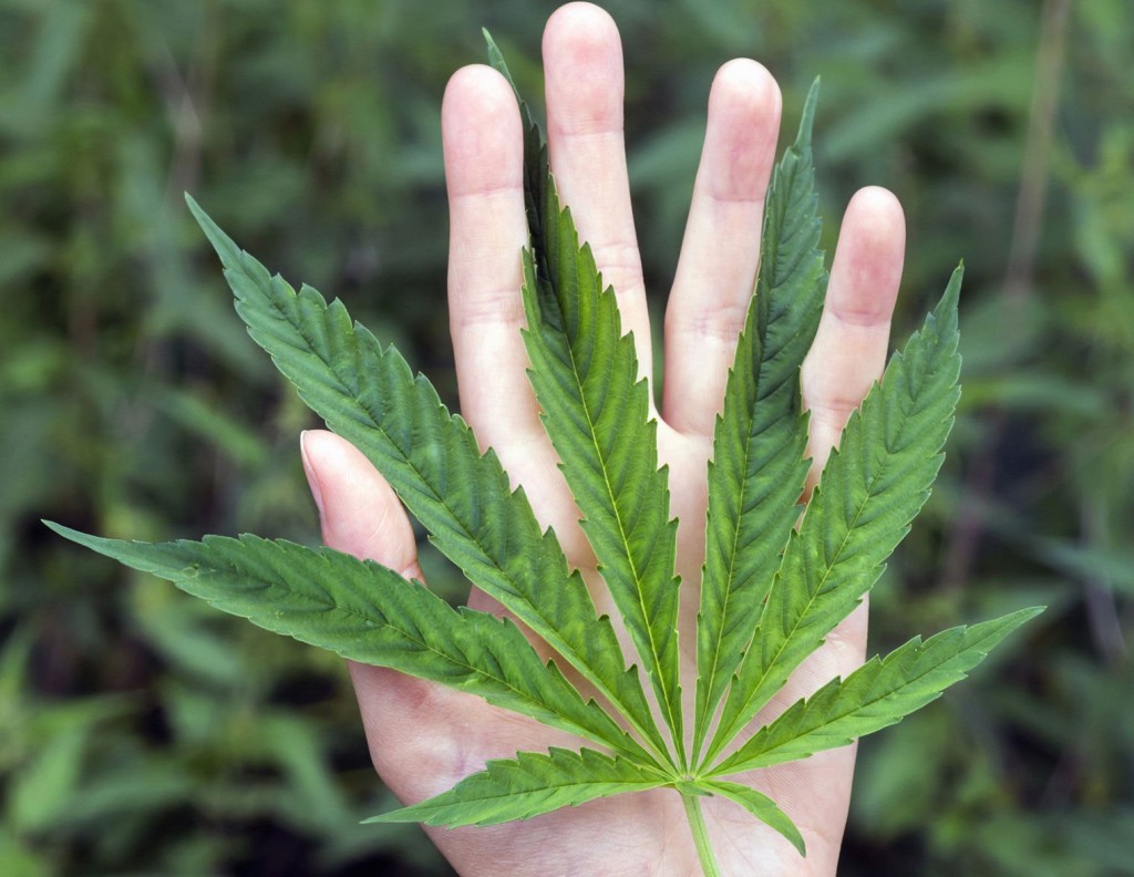 ‘i’m Not Doing Anything Wrong’: Pot Smoking Moms On Parenting While High