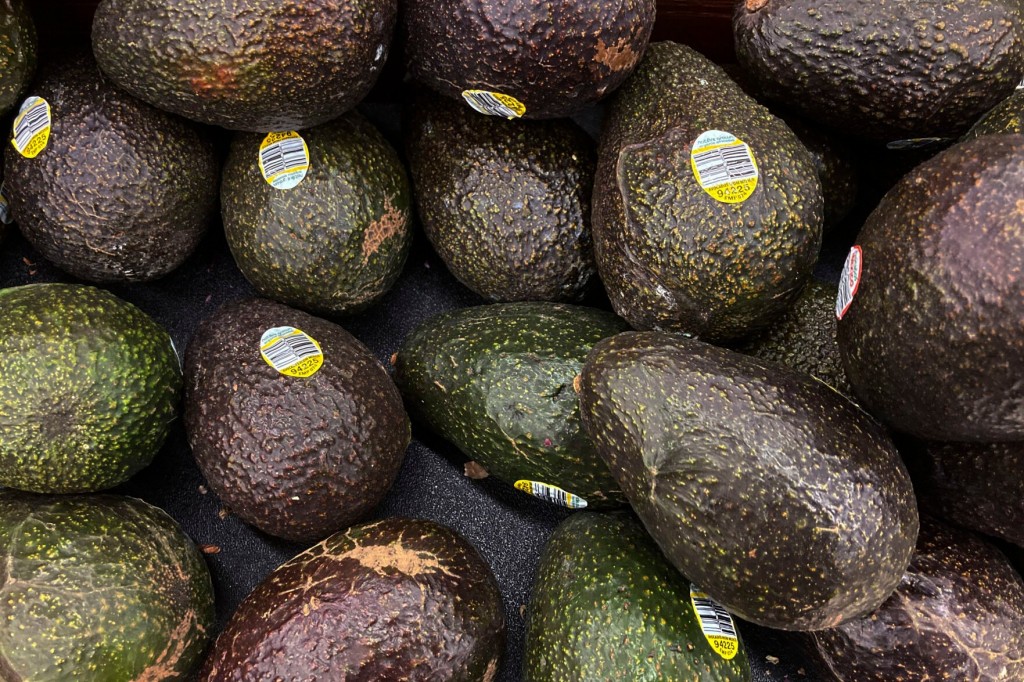 It’s Cinco De Mayo, And Avocado Prices Are Soaring