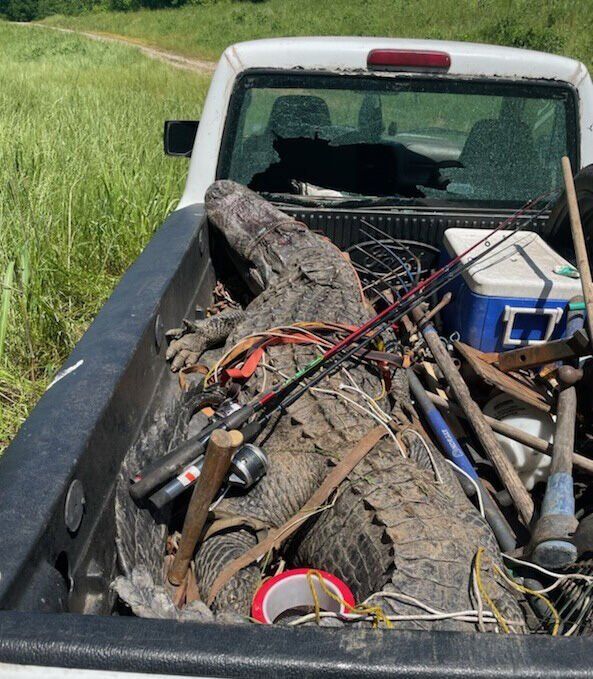 Illegally Killed Alligator Was So Big, It Damaged Poachers’ Pickup, Georgia Cops Say