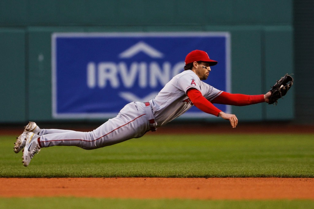 Dead Shark Hanging From Florida High School Rafters Spurs Investigation