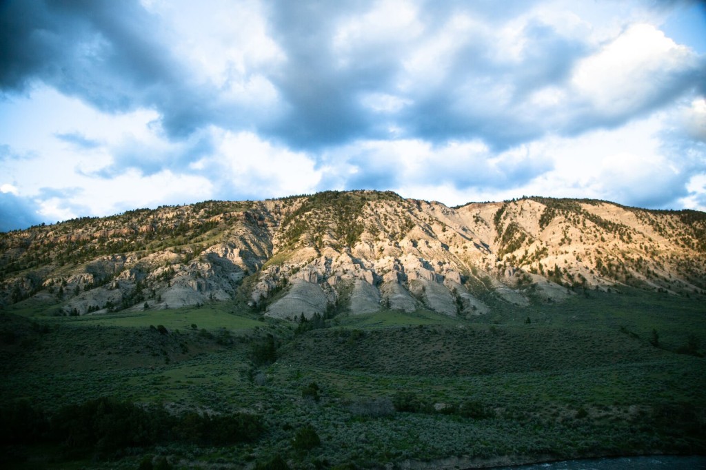 A Woman Was Gored And Tossed By A Bison After Approaching The Animal In Yellowstone National Park