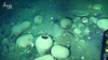 Watch Now: Colombia Finds Two Shipwrecks Near Legendary San Jose Galleon