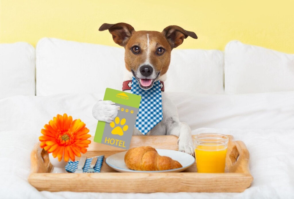 Hotel Pet Amenities Driving Pet Parents To Book And Stay Longer, Tripswithpets Survey Finds