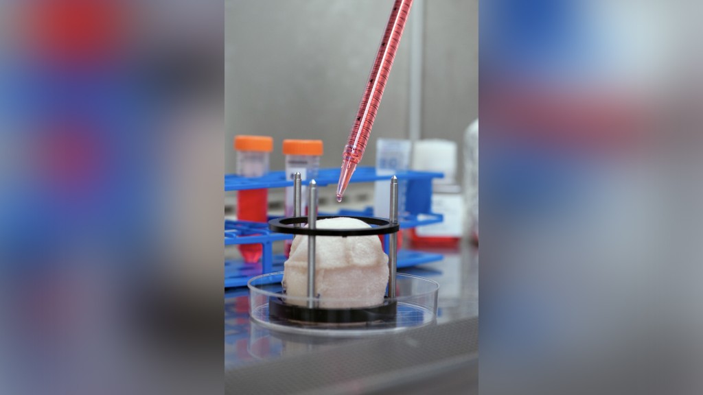 When We’ll Be Able To 3d Print Organs And Who Will Be Able To Afford Them