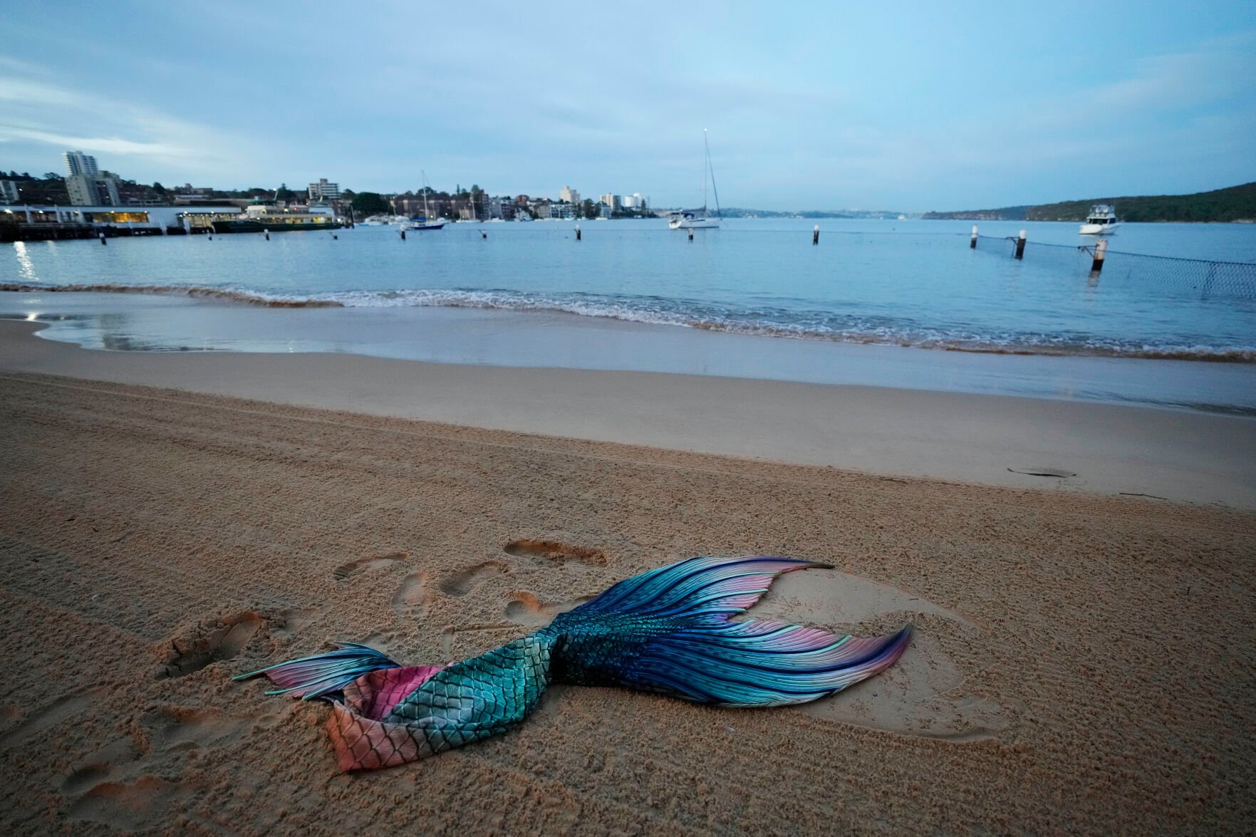<p>The tail of Lauren Metzler, founder of Sydney Mermaids, lies on the sand as she prepares for an early morning swim at Manly Cove Beach in Sydney, Australia, Thursday, May 26, 2022. "Some people have a coffee in the morning to wake up, some people have a mermaid swim," Metzler says with a laugh as she glides through the water, her skin adorned with sparkly sequins. "This tail is so fun to swim in!" </p>