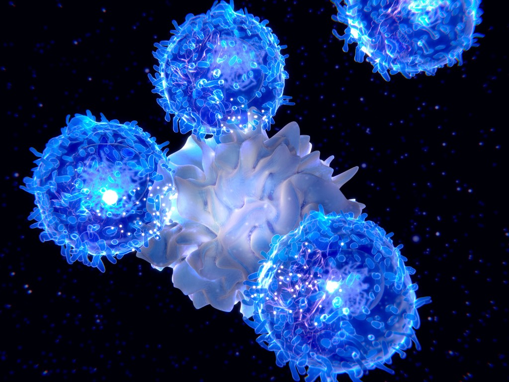 Social Stress Prematurely Ages Your Immune System, Study Finds