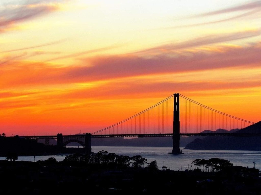 Company To Las Vegas Chapels: No More Elvis Themed Weddings