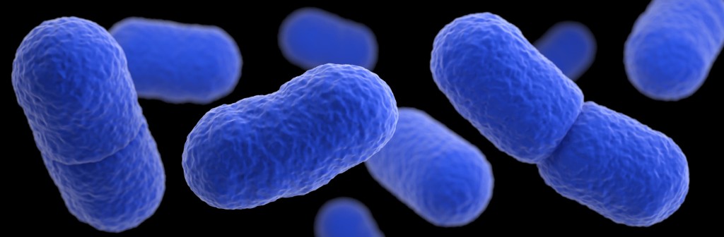 Cdc Investigating Listeria Outbreak Linked To Big Olaf Creamery Brand Ice Cream