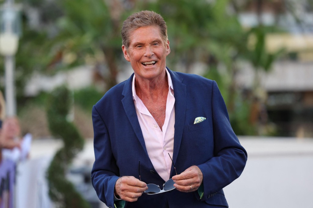 David Hasselhoff’s 70th Birthday Turned Into A ‘baywatch’ Reunion