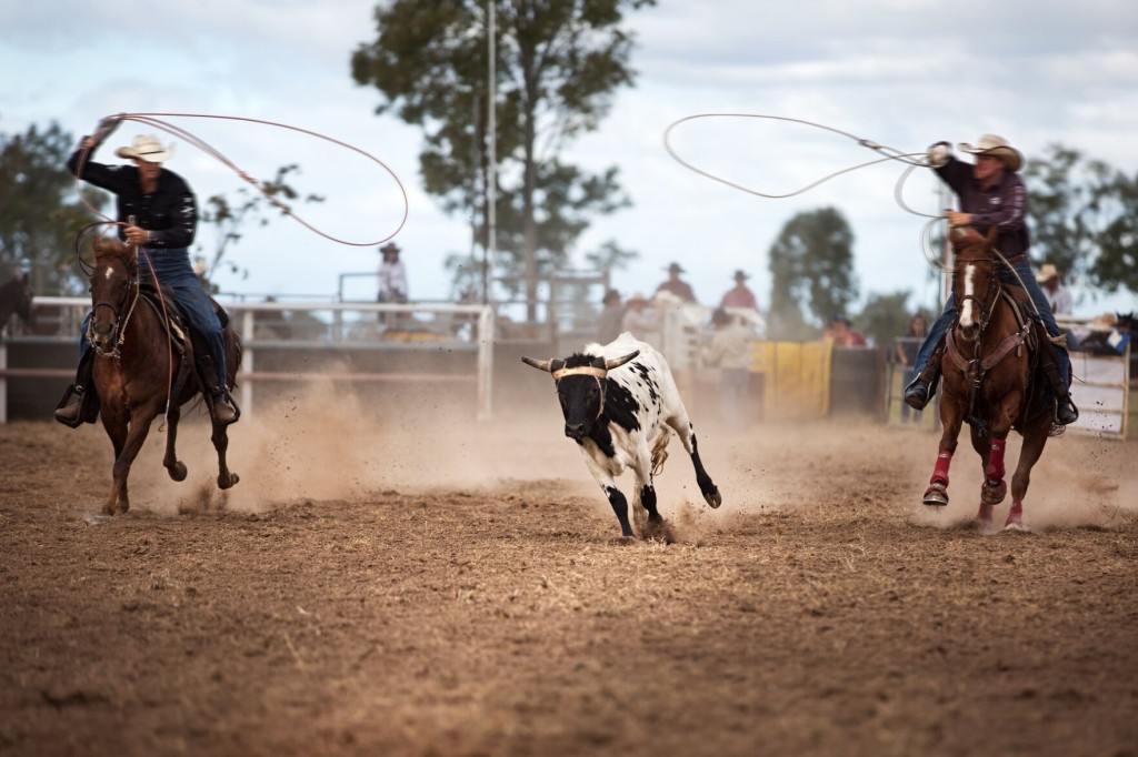 Celebrate The National Finals Rodeo With This Must Have Fan Gear