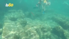 Watch Now: Tourists Swim Among Ancient Archaeological Site In Cyprus