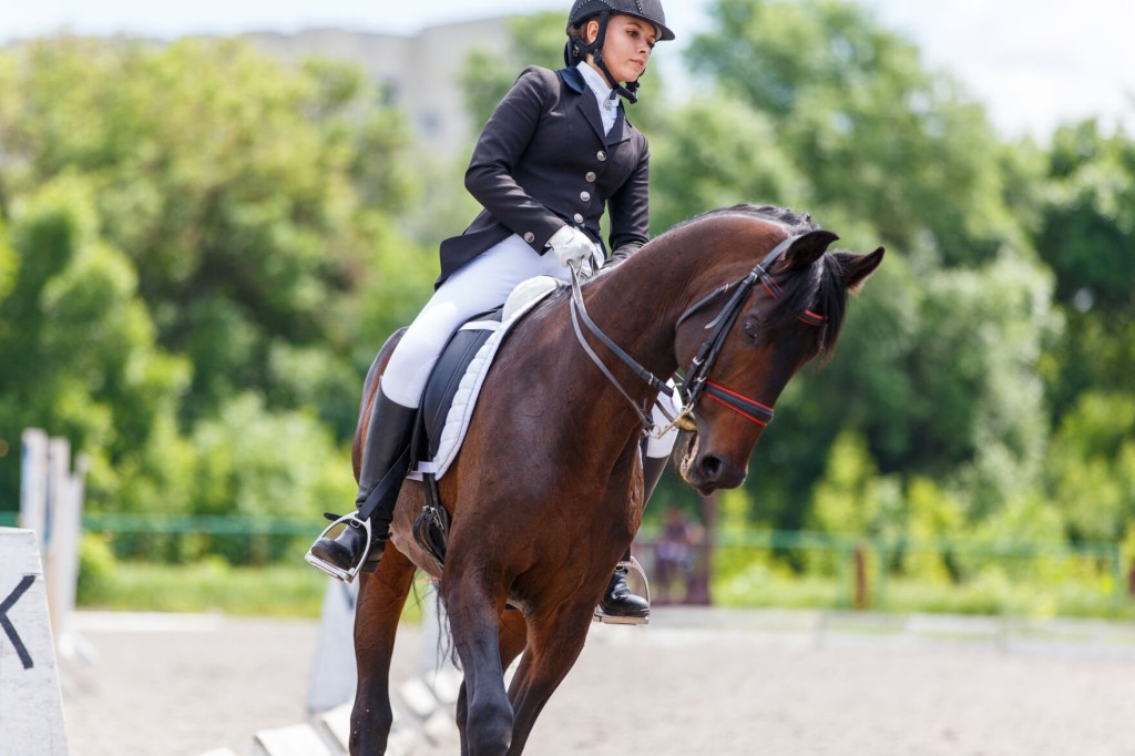 Essential Equestrian Items That Fans And Riders Will Love