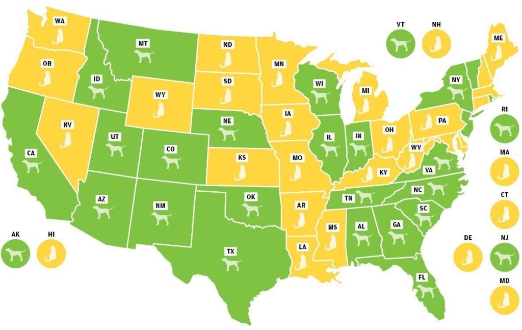 Do You Live In A Cat Or Dog State? Us Evenly Split On Pet Preference, Survey Says