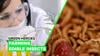 Watch Now: Farming Insects In Your Kitchen Could Be The Future Of Food