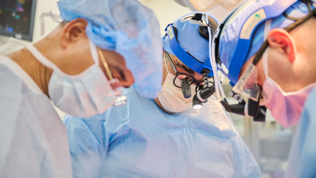 Genetically Modified Pig Heart Transplanted Into Deceased Recipient, Researchers Say