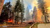 Watch Now: Fire In Yosemite Grows As Crews Try To Protect Iconic Giant Sequoias