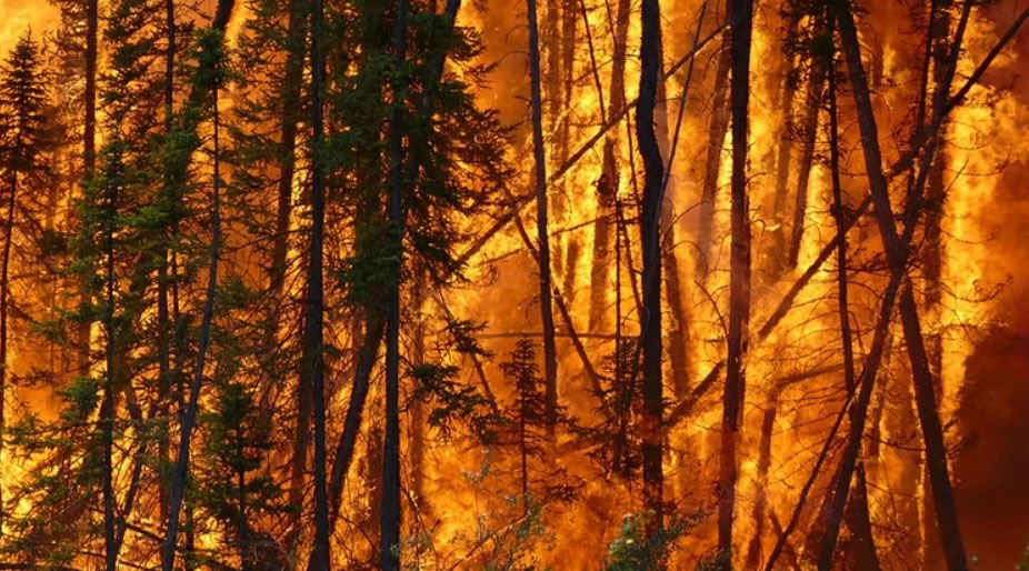 Wildfire Risk Has Grown Nearly Everywhere, But We Can Still Influence Where And How Fires Strike