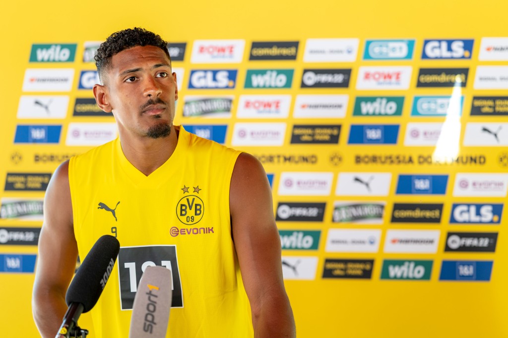 Borussia Dortmund Striker Sébastien Haller Sidelined After Discovering Testicular Tumor