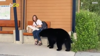 Watch Now: Canadian Woman Has Close Call With Black Bear While Waiting For Bus