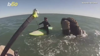 Watch Now: Whales Surprise Two Paddleboarders In Argentina