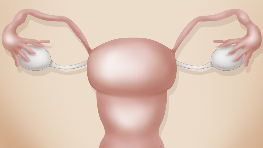 Lengthening A Woman’s Fertility May Extend Her Life As Well, Research Finds