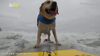 Watch Now: Surfing Dogs Catch Waves At California Championships