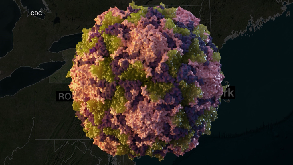 Americans Are Highly Vaccinated Against Polio. Here’s Why It Could Still Spread