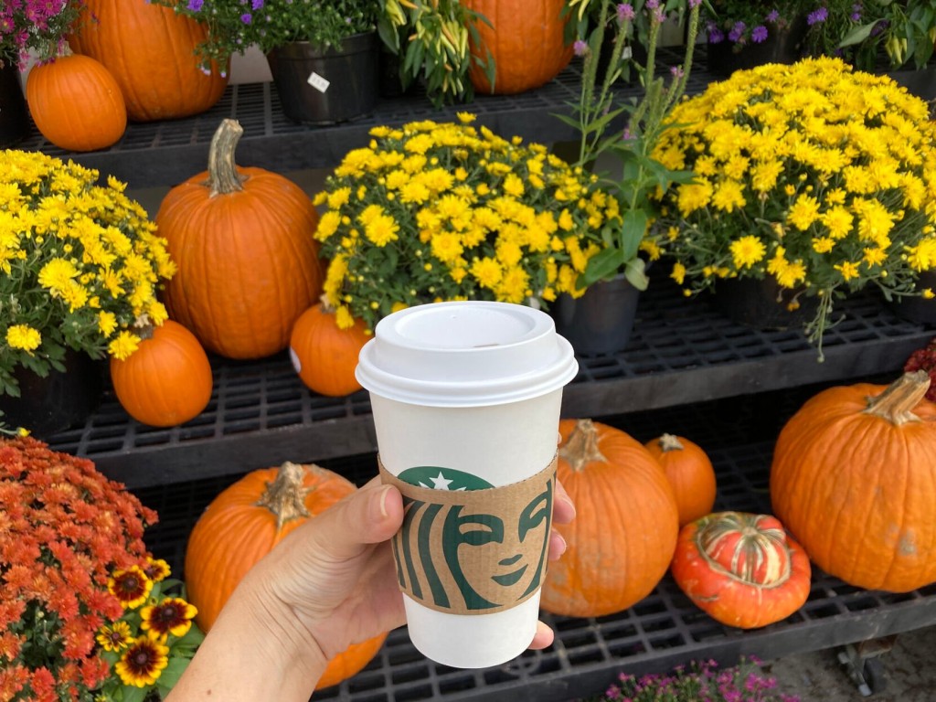 Starbucks’ Pumpkin Spice Latte Is Coming Back At A Higher Price