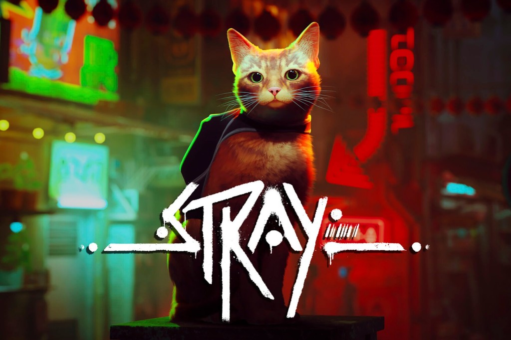 ‘stray’ Cat Video Game Is Bringing Benefits To Real Cats