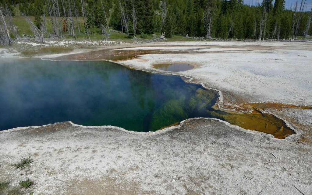 Partial Foot Found In Shoe Floating In Yellowstone Hot Springs
